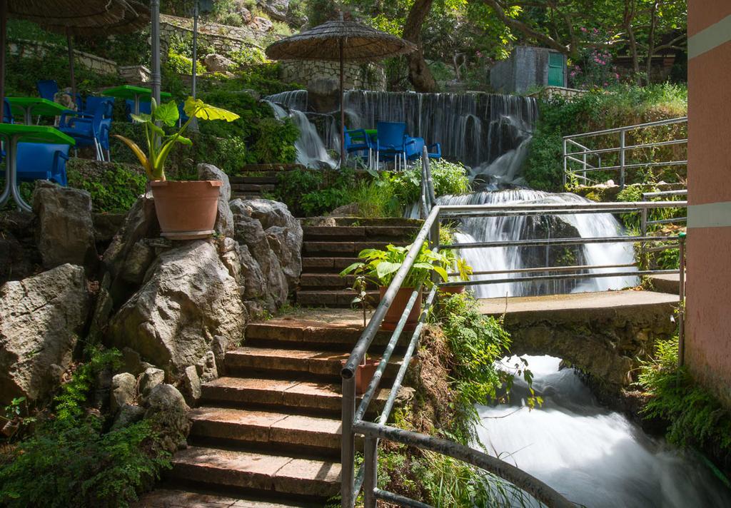 Vila Florika Hotel บอร์ช ภายนอก รูปภาพ